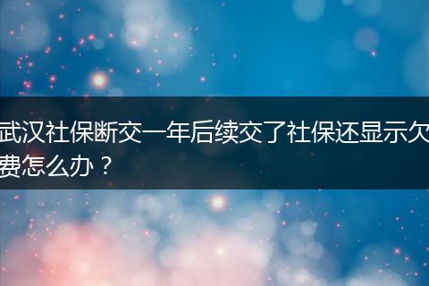 武汉社保断交一年后续交了社保还显示欠费怎么办？