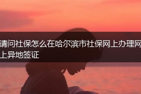 请问社保怎么在哈尔滨市社保网上办理网上异地签证