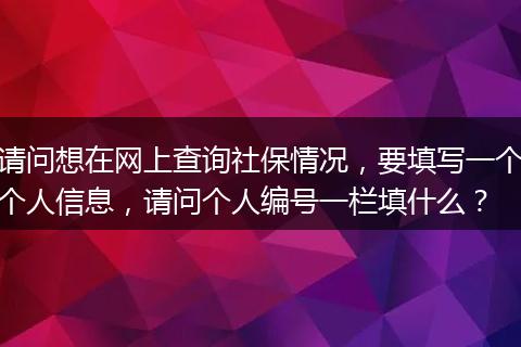 请问想在网上查询社保情况，要填写一个个人信息，请问个人编号一栏填什么？