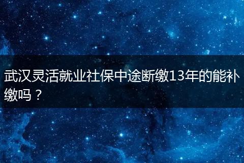 武汉灵活就业社保中途断缴13年的能补缴吗？