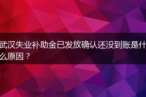 武汉失业补助金已发放确认还没到账是什么原因？