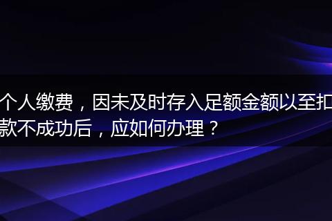 个人缴费，因未及时存入足额金额以至扣款不成功后，应如何办理？