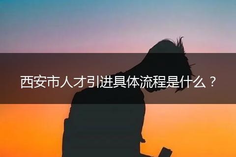 西安市人才引进具体流程是什么？