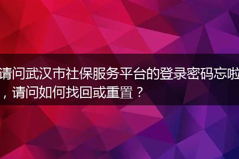 请问武汉市社保服务平台的登录密码忘啦，请问如何找回或重置？