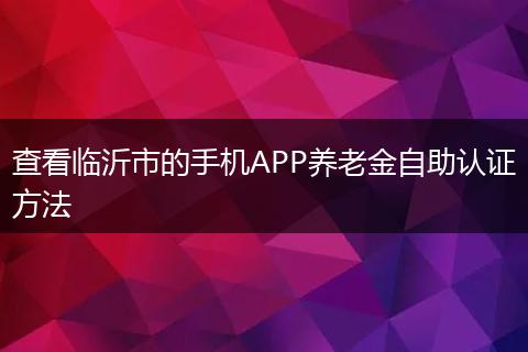 查看临沂市的手机APP养老金自助认证方法