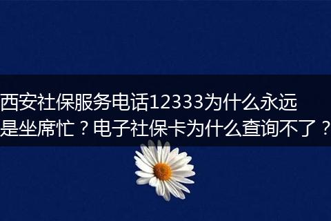 西安社保服务电话12333为什么永远是坐席忙？电子社保卡为什么查询不了？