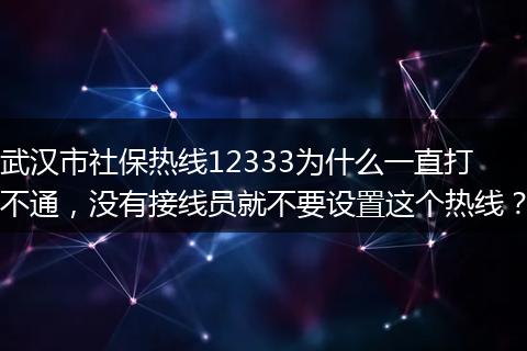 武汉市社保热线12333为什么一直打不通，没有接线员就不要设置这个热线？