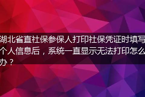 湖北省直社保参保人打印社保凭证时填写个人信息后，系统一直显示无法打印怎么办？