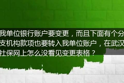 我单位银行账户要变更，而且下面有个分支机构款项也要转入我单位账户，在武汉社保网上怎么没看见变更表格？