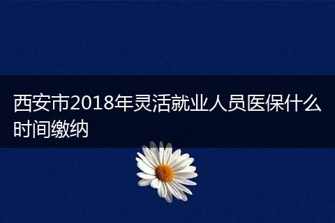 西安市2018年灵活就业人员医保什么时间缴纳