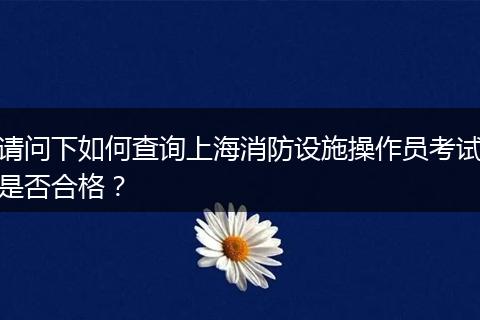 请问下如何查询上海消防设施操作员考试是否合格？