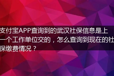 支付宝APP查询到的武汉社保信息是上一个工作单位交的，怎么查询到现在的社保缴费情况？