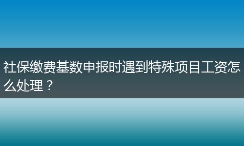 社保缴费基数申报时遇到特殊项目工资怎么处理？