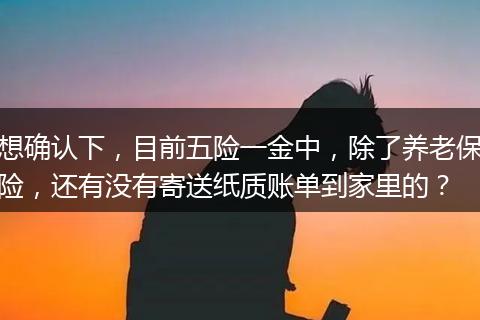 想确认下，目前五险一金中，除了养老保险，还有没有寄送纸质账单到家里的？
