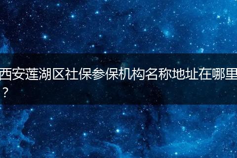 西安莲湖区社保参保机构名称地址在哪里？