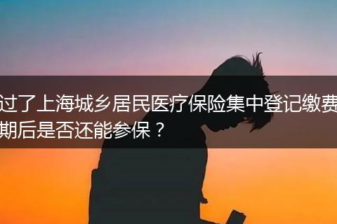 过了上海城乡居民医疗保险集中登记缴费期后是否还能参保？