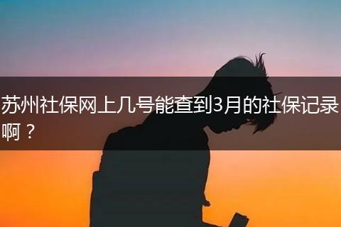 苏州社保网上几号能查到3月的社保记录啊？