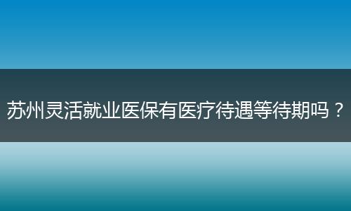 苏州灵活就业医保有医疗待遇等待期吗？