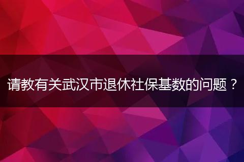 请教有关武汉市退休社保基数的问题？