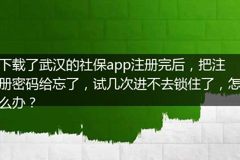 下载了武汉的社保app注册完后，把注册密码给忘了，试几次进不去锁住了，怎么办？