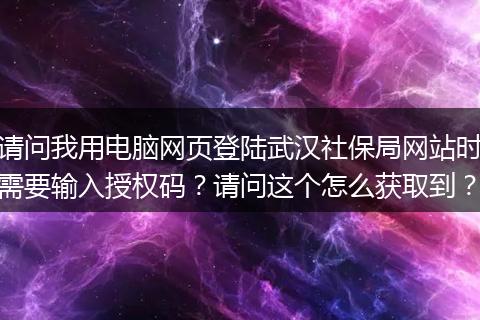 请问我用电脑网页登陆武汉社保局网站时需要输入授权码？请问这个怎么获取到？