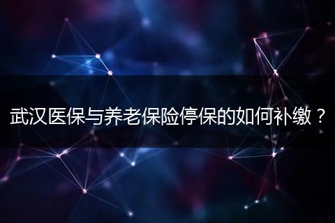 武汉医保与养老保险停保的如何补缴？