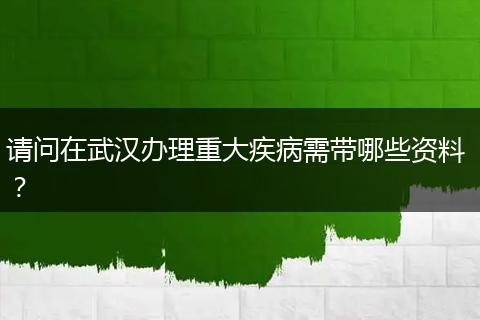 请问在武汉办理重大疾病需带哪些资料 ？