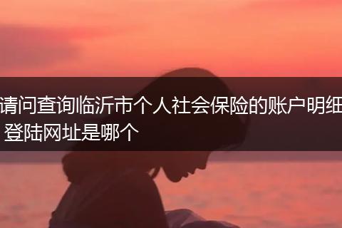 请问查询临沂市个人社会保险的账户明细 登陆网址是哪个