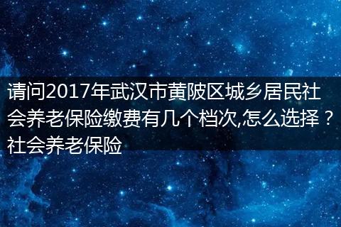 请问2017年武汉市黄陂区城乡居民社会养老保险缴费有几个档次,怎么选择？社会养老保险