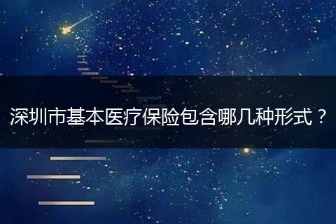 深圳市基本医疗保险包含哪几种形式？