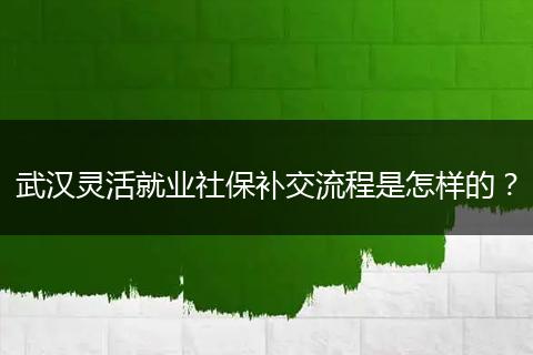 武汉灵活就业社保补交流程是怎样的？
