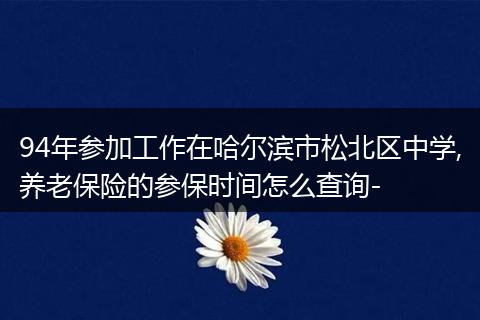 94年参加工作在哈尔滨市松北区中学,养老保险的参保时间怎么查询-