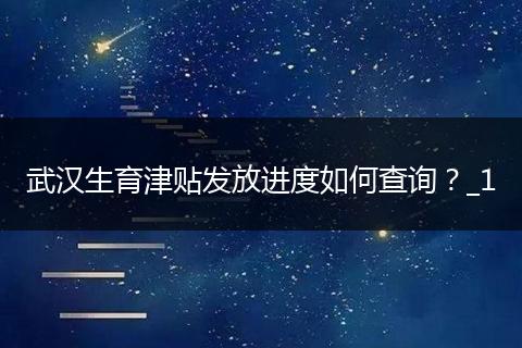 武汉生育津贴发放进度如何查询？_1