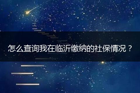 怎么查询我在临沂缴纳的社保情况?