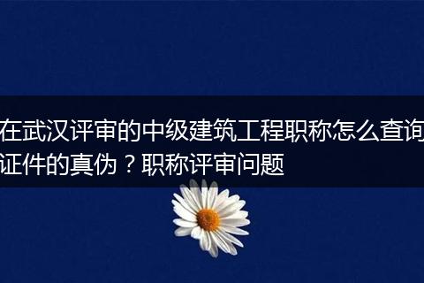 在武汉评审的中级建筑工程职称怎么查询证件的真伪？职称评审问题