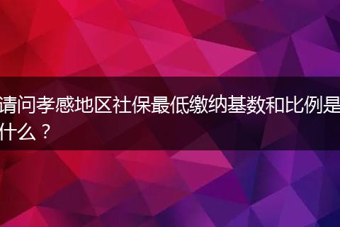 请问孝感地区社保最低缴纳基数和比例是什么？