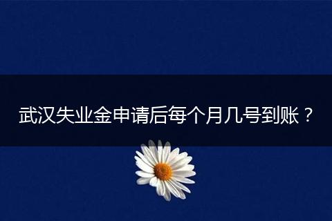 武汉失业金申请后每个月几号到账？