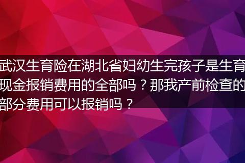 武汉生育险在湖北省妇幼生完孩子是生育现金报销费用的全部吗？那我产前检查的部分费用可以报销吗？
