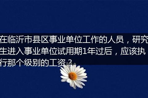 在临沂市县区事业单位工作的人员，研究生进入事业单位试用期1年过后，应该执行那个级别的工资？