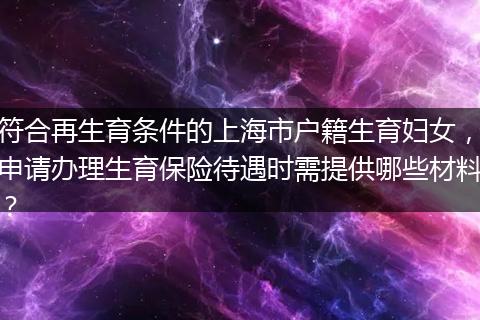 符合再生育条件的上海市户籍生育妇女，申请办理生育保险待遇时需提供哪些材料？