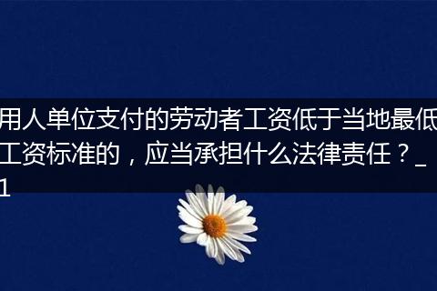 用人单位支付的劳动者工资低于当地最低工资标准的，应当承担什么法律责任？_1