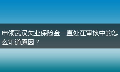 申领武汉失业保险金一直处在审核中的怎么知道原因？