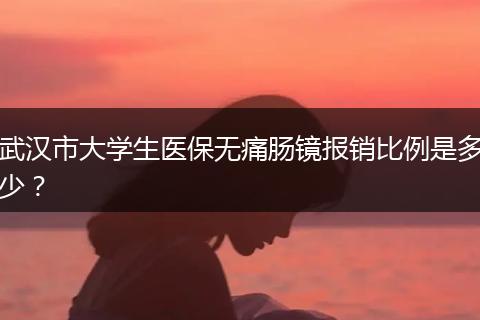 武汉市大学生医保无痛肠镜报销比例是多少？