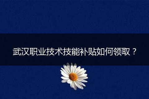武汉职业技术技能补贴如何领取？
