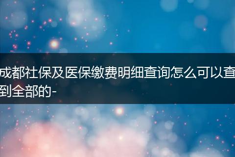 成都社保及医保缴费明细查询怎么可以查到全部的-