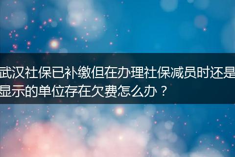 武汉社保已补缴但在办理社保减员时还是显示的单位存在欠费怎么办？