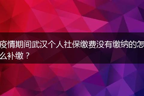 疫情期间武汉个人社保缴费没有缴纳的怎么补缴？