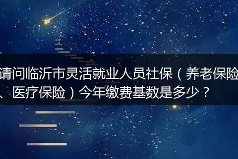 请问临沂市灵活就业人员社保（养老保险、医疗保险）今年缴费基数是多少？