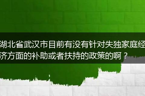 湖北省武汉市目前有没有针对失独家庭经济方面的补助或者扶持的政策的啊？