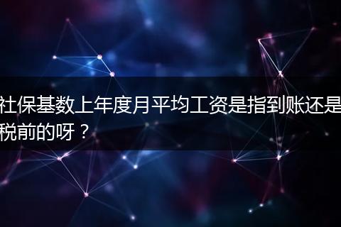 社保基数上年度月平均工资是指到账还是税前的呀？